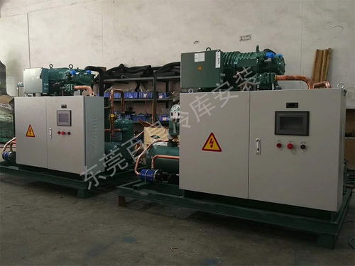 珠海鱸魚加工廠冷庫安裝 構(gòu)建高品質(zhì)、高安全性的食品儲存解決方案